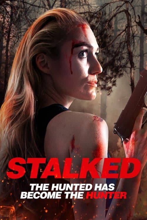 Affiche de Stalked