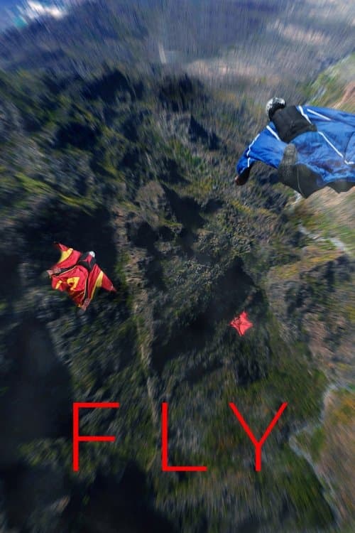 Affiche de Fly
