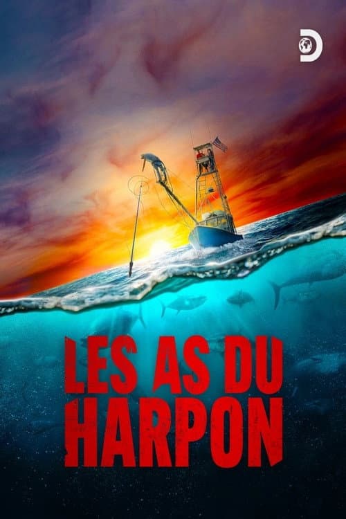 Affiche de Les As du harpon