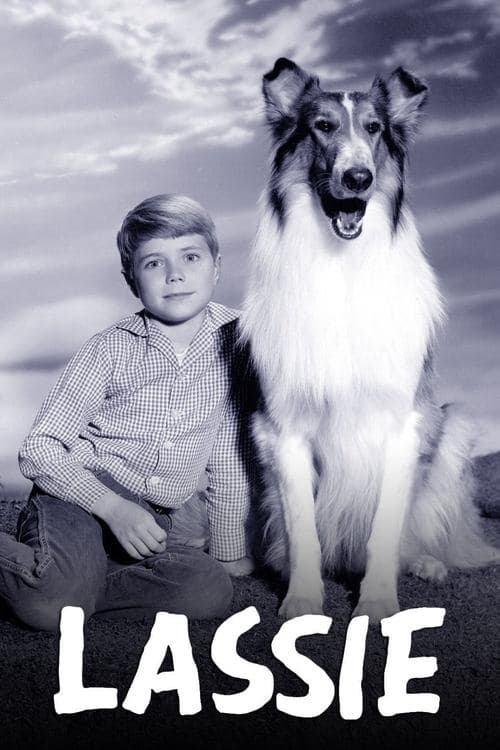 Affiche de Lassie