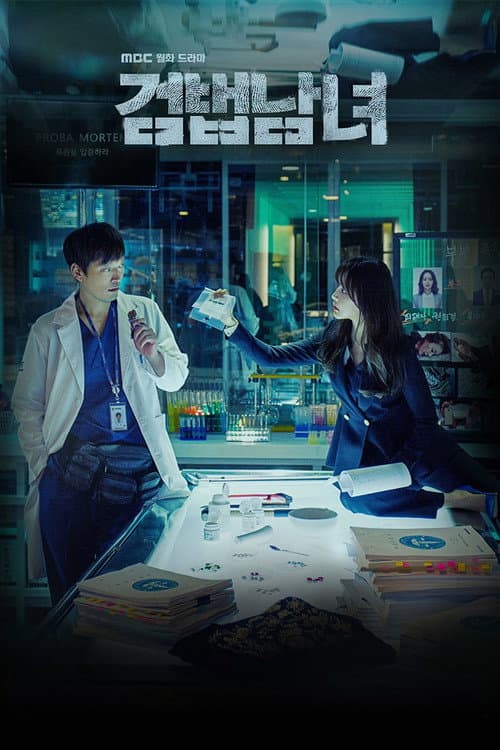 Affiche de Partners for Justice