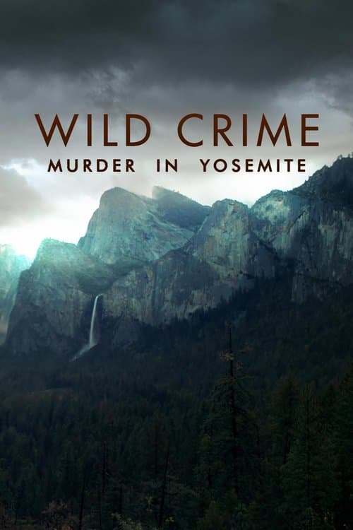 Affiche de Wild Crime