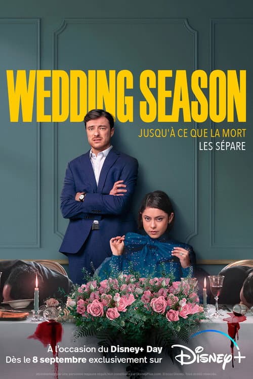 Affiche de Wedding Season