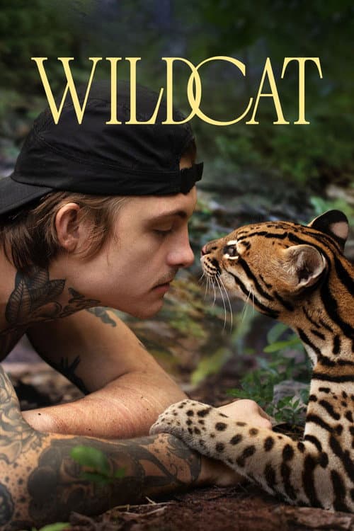 Affiche de Chat sauvage