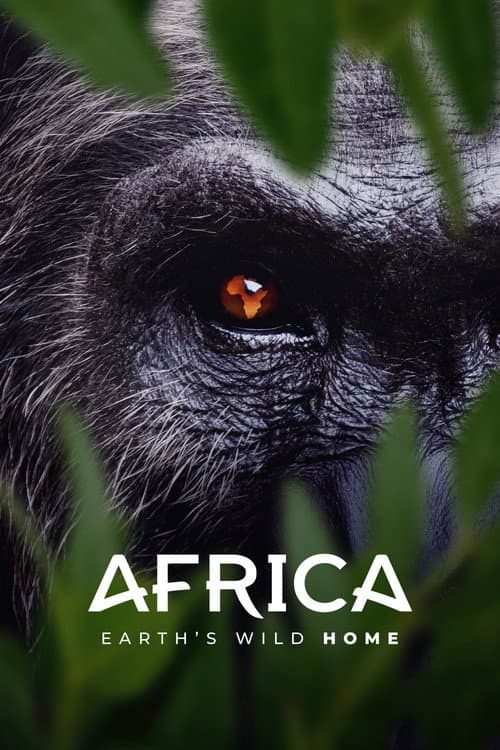Affiche de Afrique, terres de vie