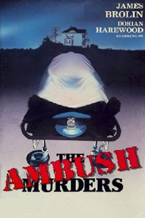 Affiche de The Ambush Murders