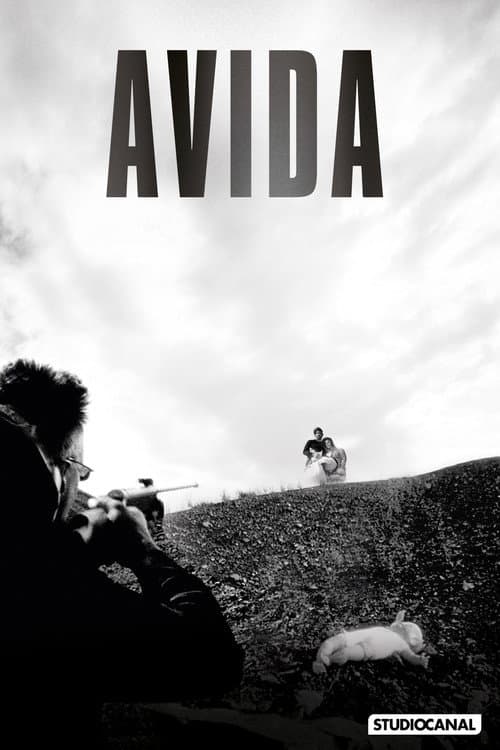 Affiche de Avida