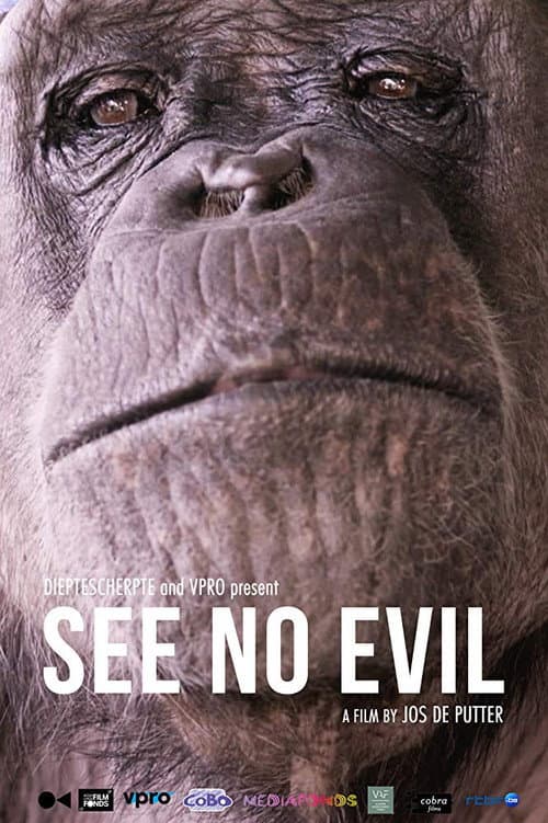 Affiche de See No Evil