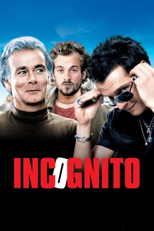 Affiche de Incognito