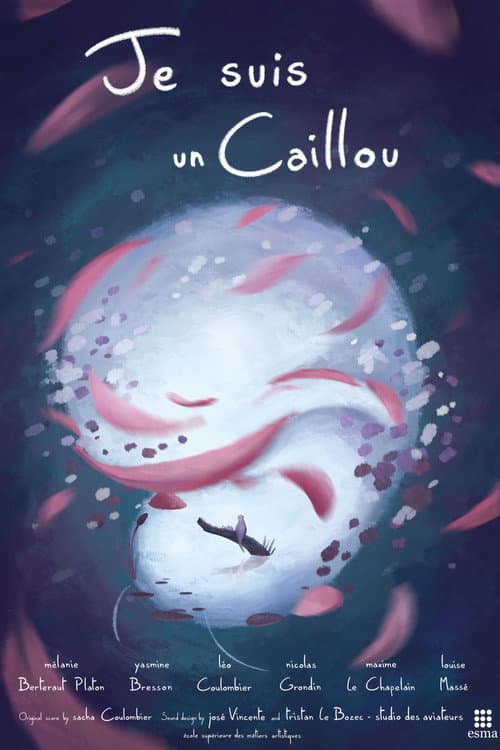 Affiche de Je suis un Caillou