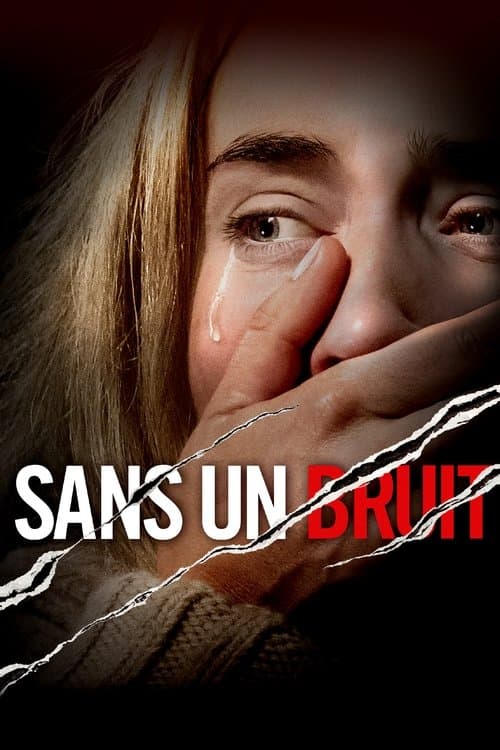 Affiche de Sans un bruit