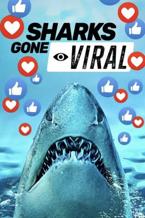 Affiche de Les requins : nouvelles stars d'Internet