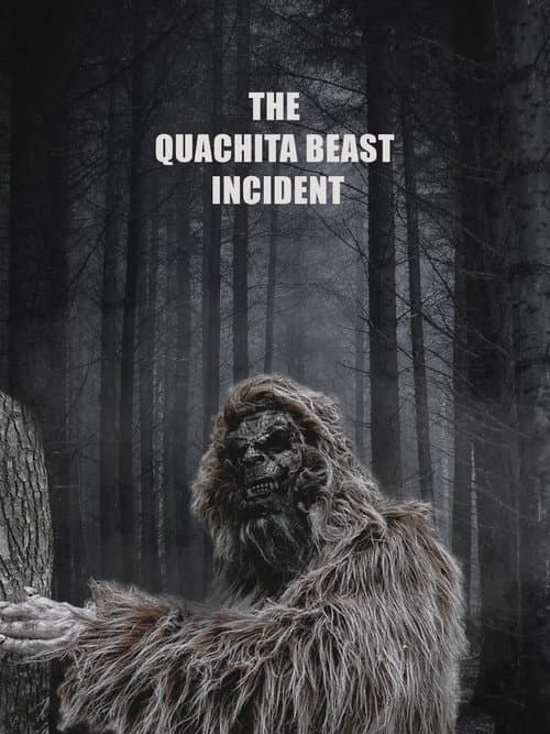 Affiche de The Quachita Beast Incident