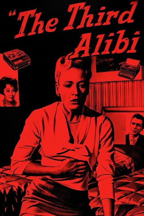 Affiche de The Third Alibi