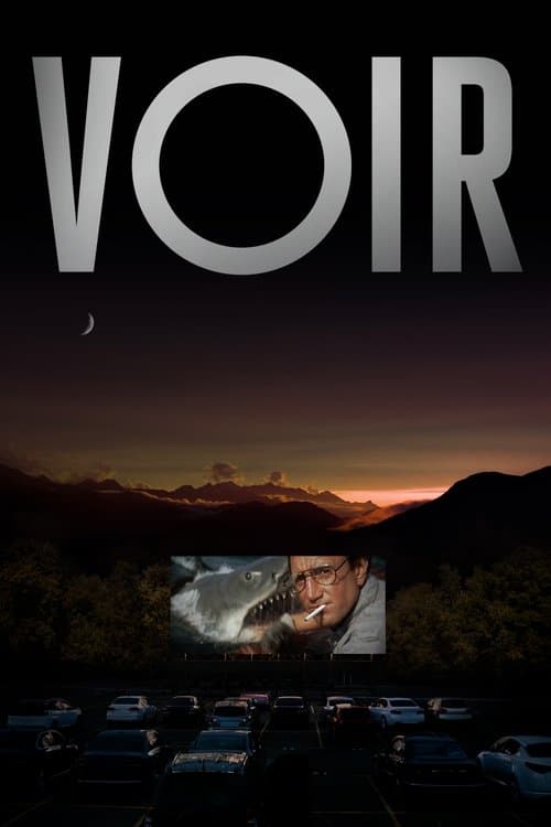 Affiche de Voir