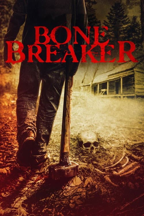 Affiche de Briseur d'os