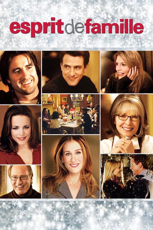 Affiche de Esprit de famille