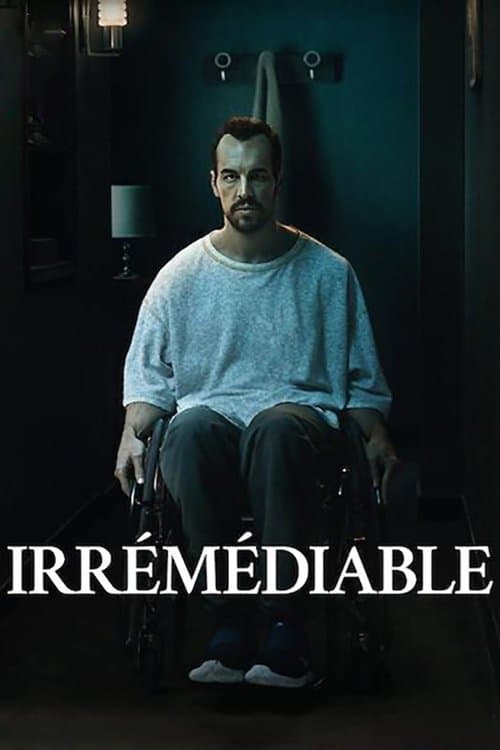 Affiche de Irrémédiable