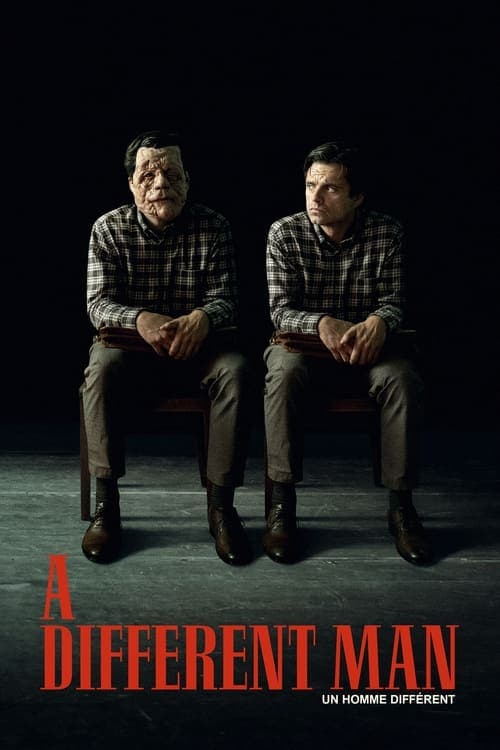 Affiche de A Different Man