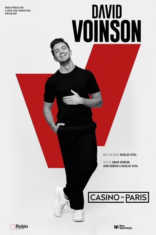 Affiche de David Voinson