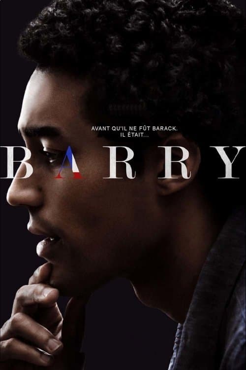 Affiche de Barry
