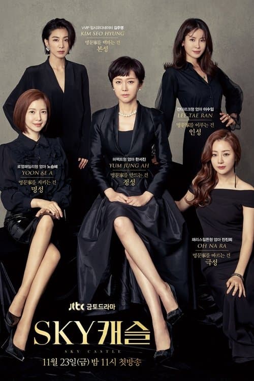 Affiche de SKY Castle