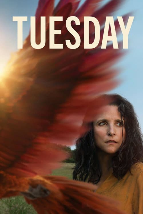 Affiche de Tuesday