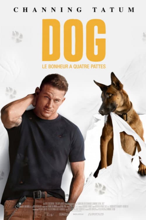 Affiche de Dog